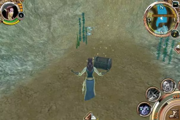 Order & Chaos Online