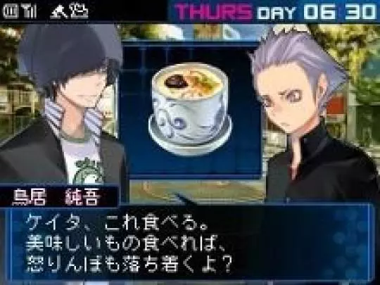 Shin Megami Tensei: Devil Survivor 2