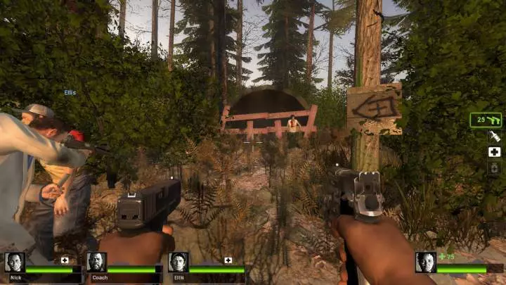 Left 4 Dead 2 Cold Stream