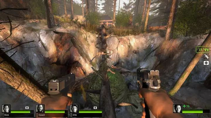 Left 4 Dead 2 Cold Stream