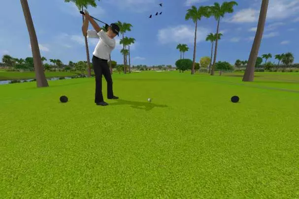Tiger Woods PGA Tour 12