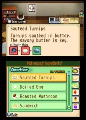 Harvest Moon Tale of Two Towns