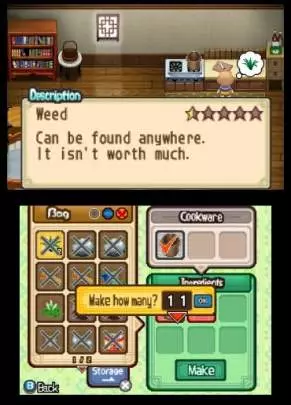 Harvest Moon Tale of Two Towns