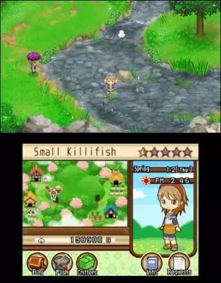 Harvest Moon Tale of Two Towns - 3DS