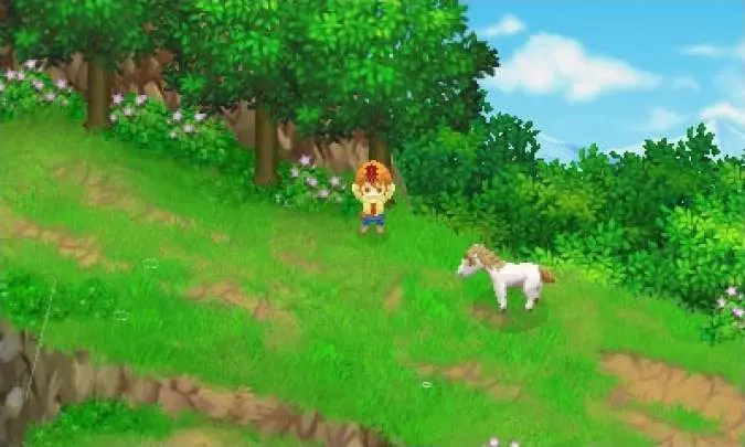 Harvest Moon Tale of Two Towns