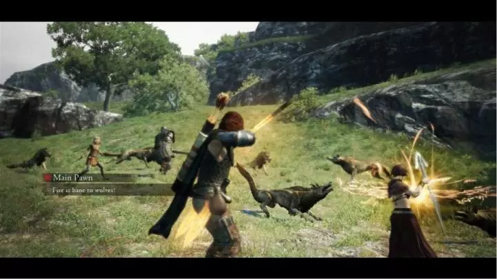 Dragon's Dogma
