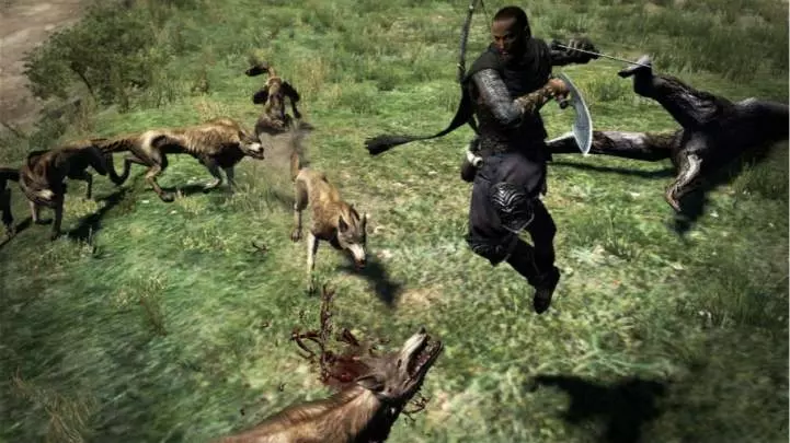 Dragon's Dogma