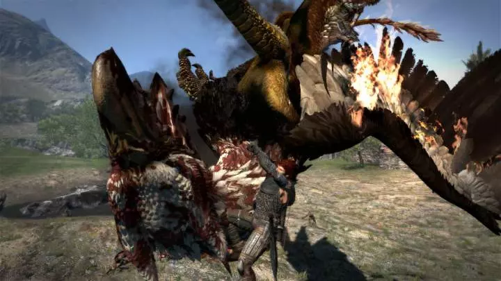 Dragon's Dogma