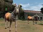 Zoo Mania - Pantalla