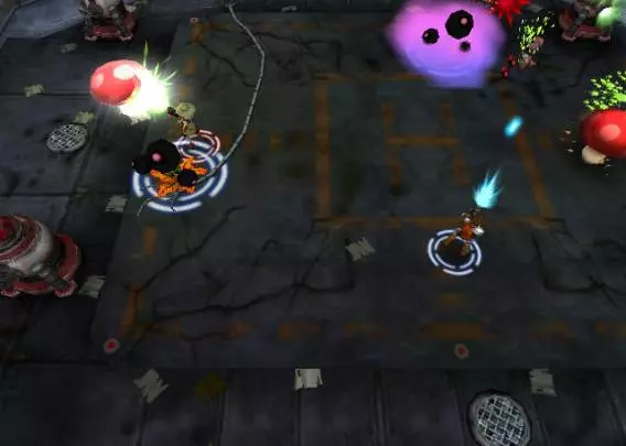 Centipede Infestation