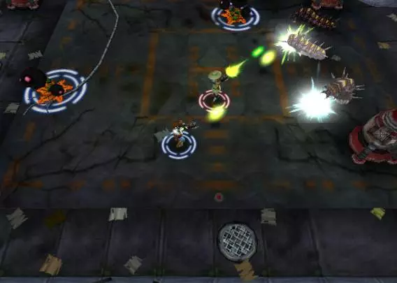 Centipede Infestation