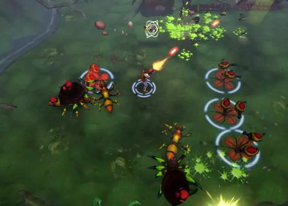 Centipede Infestation