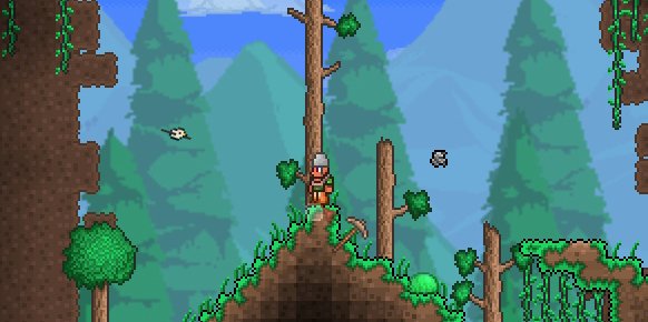 Terraria Terraria