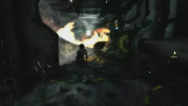 Hydrophobia Prophecy