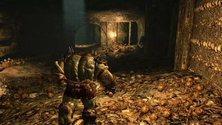 Of Orcs and Men - PS3