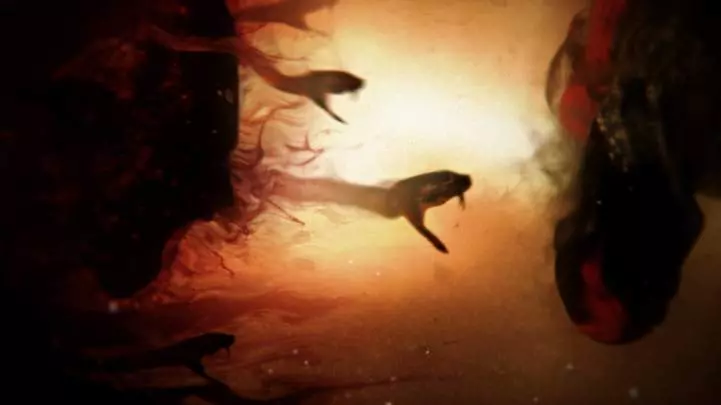 God of War Ascension