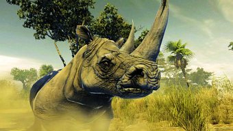 Activision lanzará un juego de caza para Xbox 360 con Kinect
