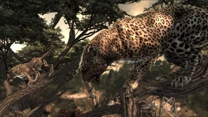 Cabelas Dangerous Hunts 2011