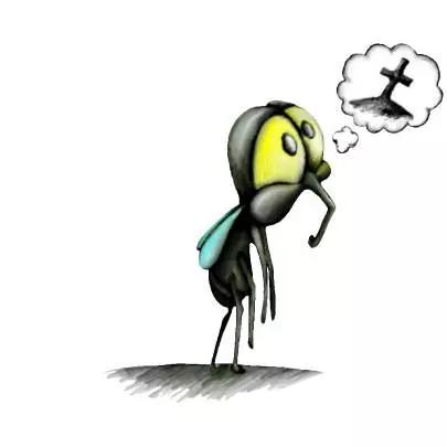 Death and the Fly