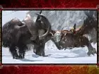 Monster Hunter Freedom 3 HD - Pantalla