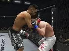 UFC Undisputed 3 