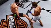 UFC Undisputed 3: Advanced Moves