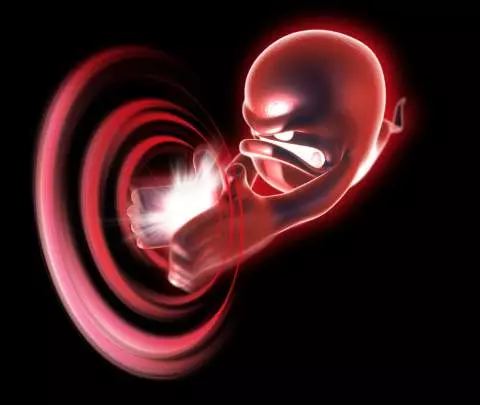 Luigi's Mansion 2 - 3DS