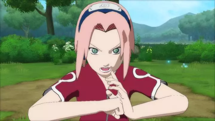 Naruto Ninja Storm Generations