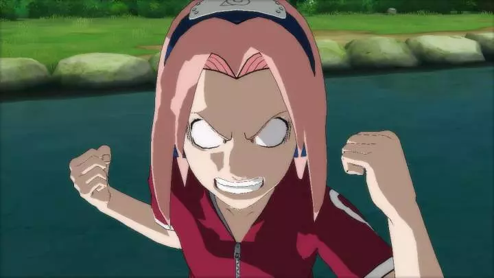 Naruto Ninja Storm Generations