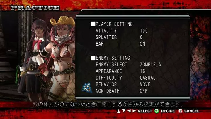 Onechanbara Z Kagura