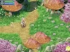 Rune Factory 4 - Pantalla