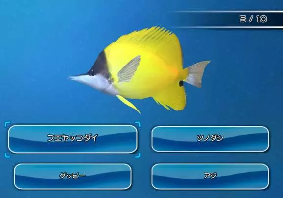 Fishing Resort - Wii