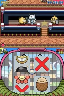 Go! Go! Kokopolo - DS