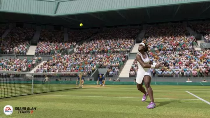 Grand Slam Tennis 2