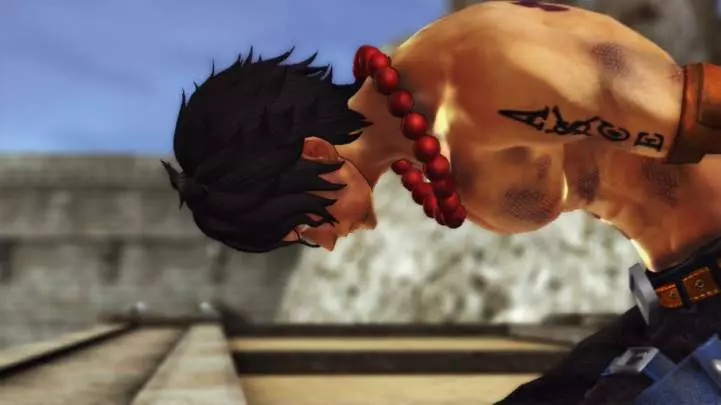 One Piece: Pirate Warriors