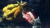Monster Hunter 3 Ultimate: Trailer oficial (Japón)