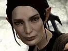 Dragon Age II: La Marca del Asesino
