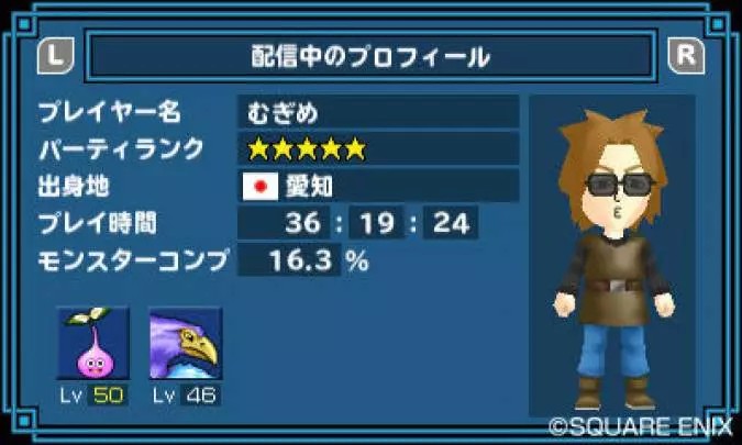 Dragon Quest Terry´s Wonderland - 3DS