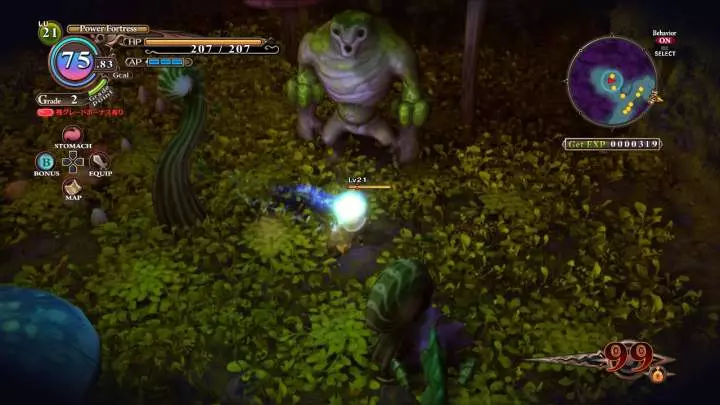 The Witch and the Hundred Knight