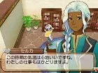 Harvest Moon The Land of Origin - Imagen 3DS