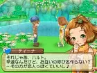 Harvest Moon The Land of Origin - Imagen 3DS