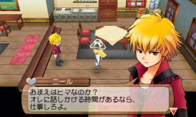 Harvest Moon The Land of Origin - 3DS