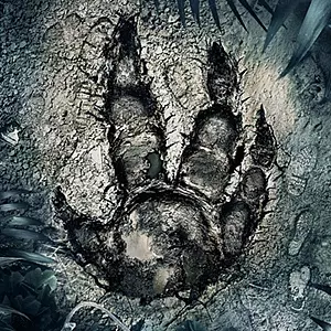 Evolve Análisis