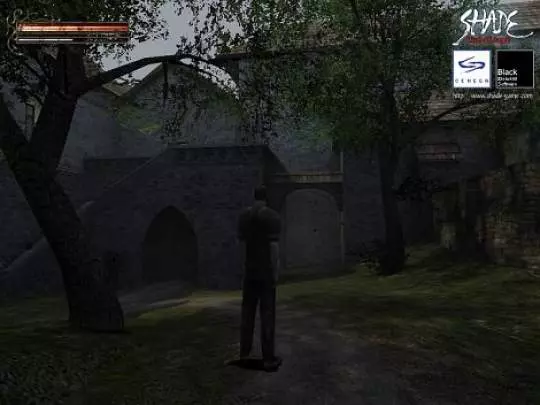 Shade Wrath of Angels