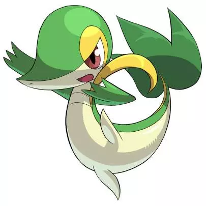 Pokémon Conquest - DS