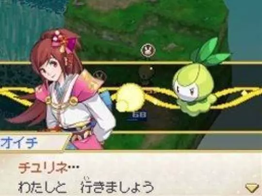 Pokémon Conquest - DS