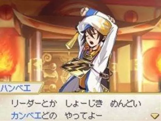 Pokémon Conquest - DS