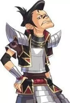 Pokémon Conquest - DS