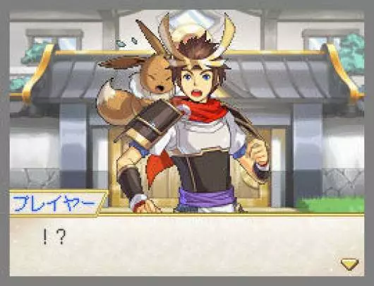 Pokémon Conquest - DS