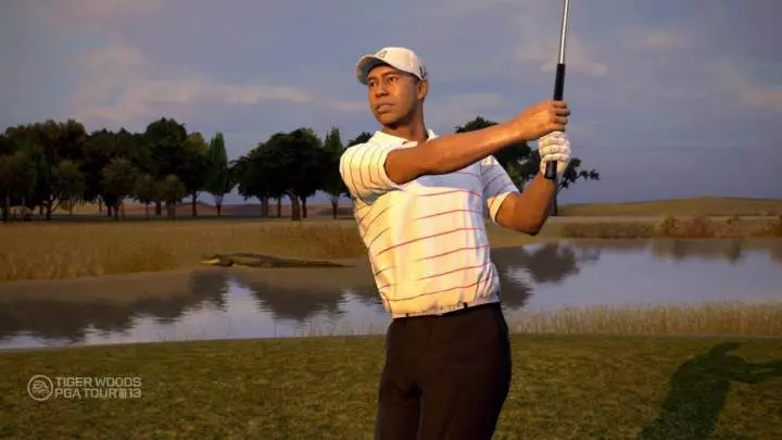 Tiger Woods PGA Tour 13